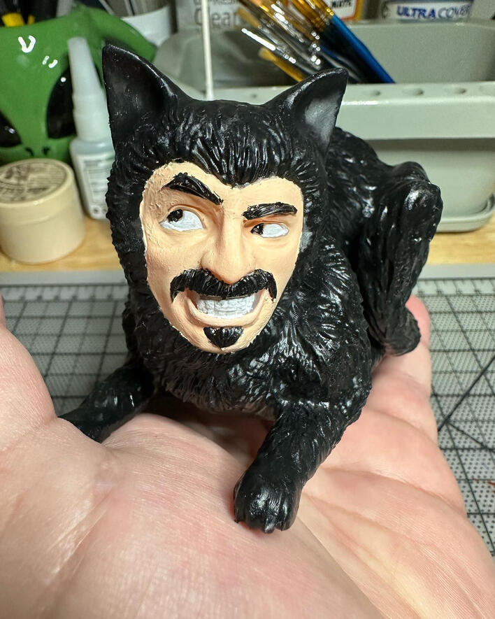 WWDITS Cat
